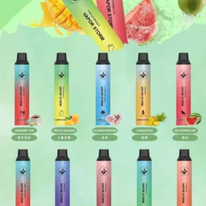 VAPOR STORM 風暴5000口一次性電子煙-抛棄式/高級續航💖