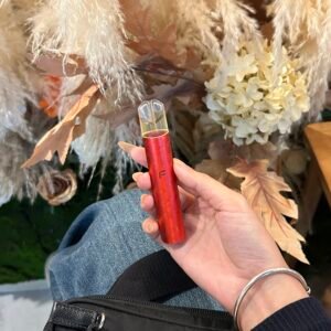 FIPY果派電子主機-通用一代 煙彈-簡約時尚-續航穩定-當天發💖 - 新年紅