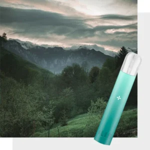 ILIA哩亞 電子煙主機、通用一代煙彈-智能調節-續航穩定-速發💖 - 黎霧青山