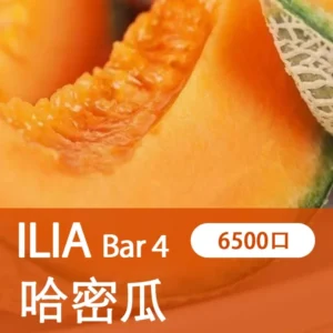 ILIA哩亞 - BAR4 6500口-拋棄式/一次性電子煙-高續航設計-速發💖 - 沁甜蜜瓜