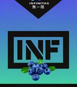 INF無限-一代電子煙彈/通用一代主機-熱門水果味-當日發貨💖 - 蓝莓冰珠