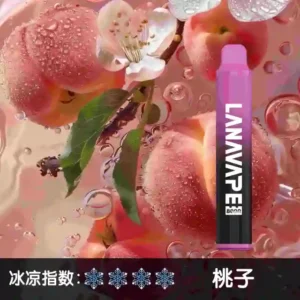 LANA-ZOLT8000口一次性/拋棄式電子煙-快充與續航兼備-速發💖 - 桃子