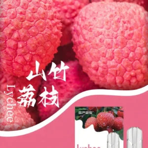 SP2S思博瑞-電子煙彈-通用一代主機-囤貨必備-台灣速發💖 - 山竹荔枝