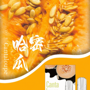 SP2S思博瑞-電子煙彈-通用一代主機-囤貨必備-台灣速發💖 - 哈密瓜