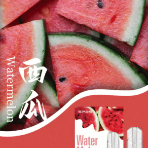 SP2S思博瑞-電子煙彈-通用一代主機-囤貨必備-台灣速發💖 - 西瓜