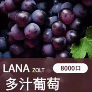 LANA-ZOLT8000口一次性/拋棄式電子煙-快充與續航兼備-速發💖 - 葡萄