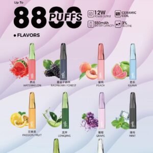 CHILL 鴨嘴獸 8800口抛棄式電子煙-台灣合法一次性 Vape 裝置